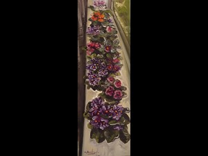Violetas Africanas