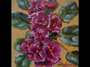 Vaso de Violetas Rosas