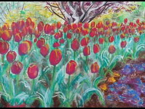 Campo de Tulipas Vermelhas